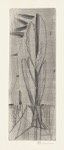 55 Pappel <br> Illustrationsentwurf zu einem Gedicht von Gottfried Benn Pappel, Kaltnadelradierung, signiert, fehlt bei Roters, 245 x 85 mm  1957-1958