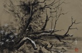 50. Kohle und Deckwei, mit Stempelsignatur, datiert, rckseitig: signiert,
datiert, bezeichnet, 420 x 590 mm 2020