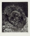 Otto_Dix